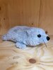 Knuffel | Zeehond Grijs (groot)