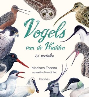 Vogels van de Wadden | 25 verhalen