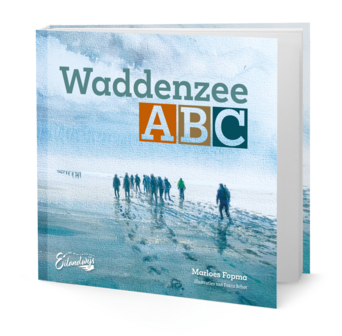 Waddenzee | ABC