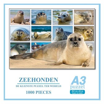 Puzzel Zeehonden Foto A3