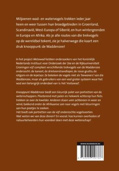 Knooppunt Waddenzee