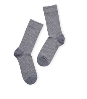 Quahog Seas Socks | 36-40