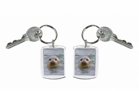 Sleutelhanger | Foto Zeehond