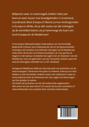 Knooppunt Waddenzee