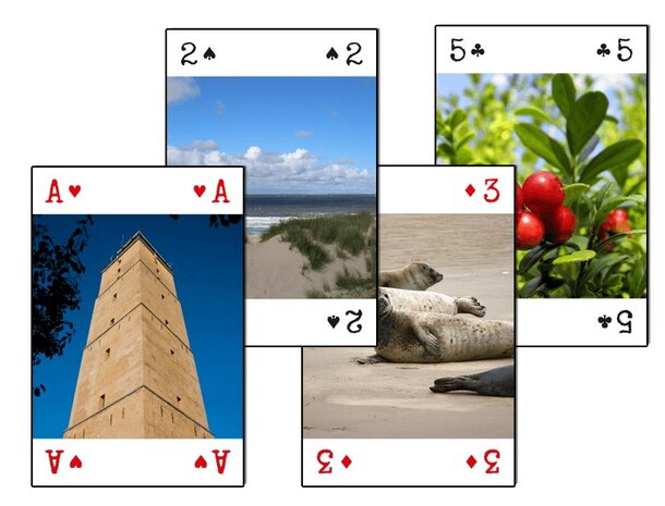 Speelkaarten  | Terschelling