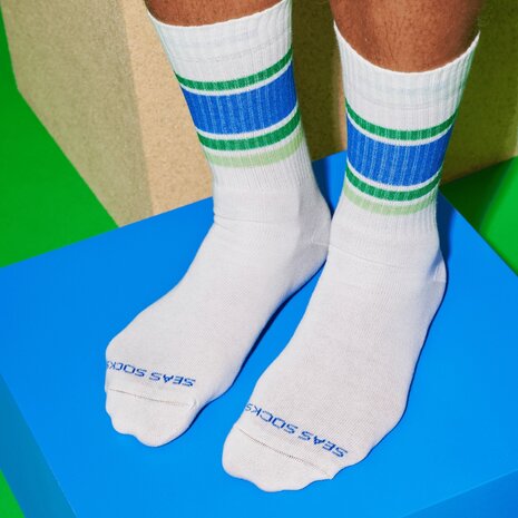 Flippy Seas Socks | 41-46