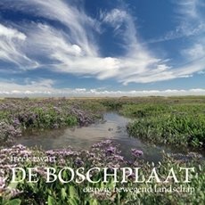 De Boschplaat | Eeuwig bewegend landschap