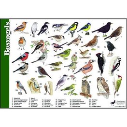 Herkenningskaart | Bosvogels