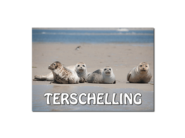 Magneet | 4 zeehonden Magneet | 4 zeehonden