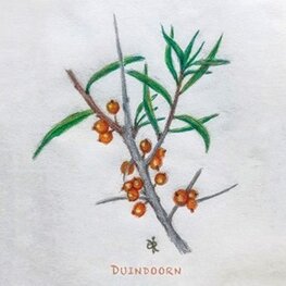 Ansicht Duindoorn | AB